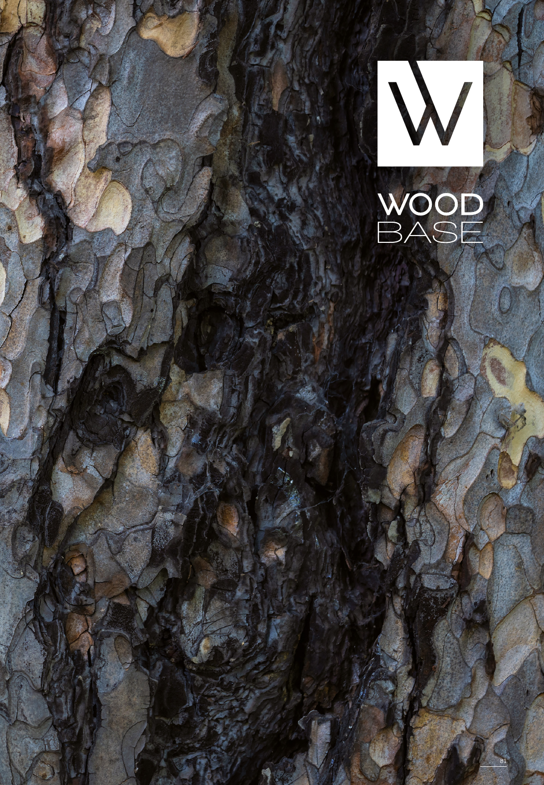 Vorschau Woodbase Katalog 04/2022 Seite 81
