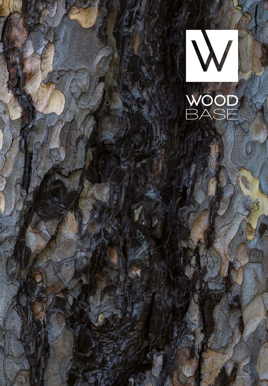 Vorschau Woodbase Katalog 06/2021 Seite 157