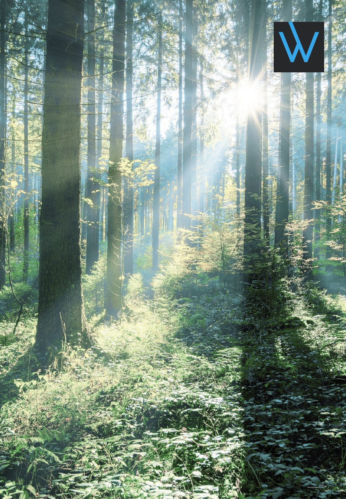 Vorschau WOODBASE LAGERSORTIMENT 2020/2021 Seite 5