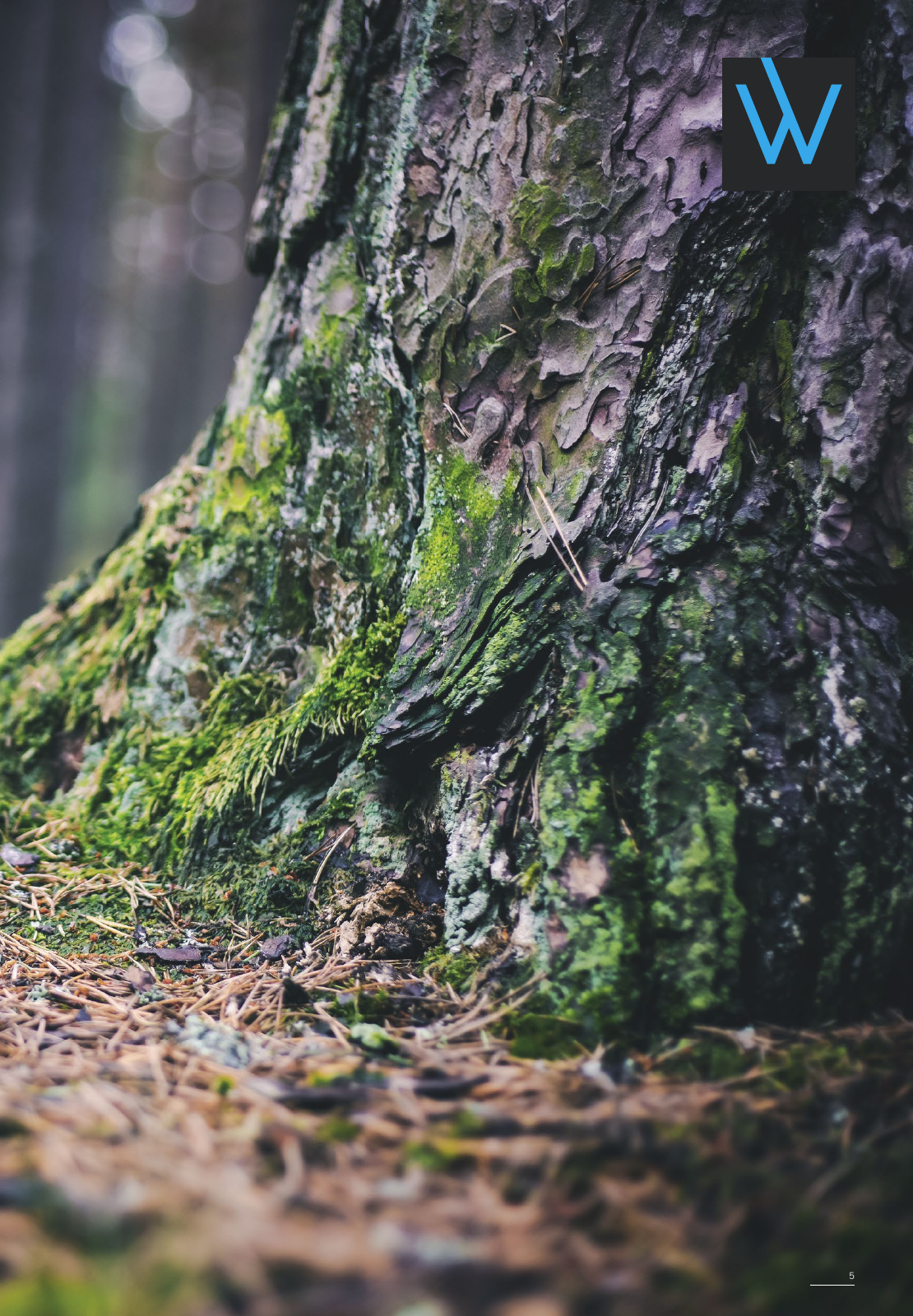 Vorschau WOODBASE MANUFAKTURSORTIMENT 2020/2021 Seite 5