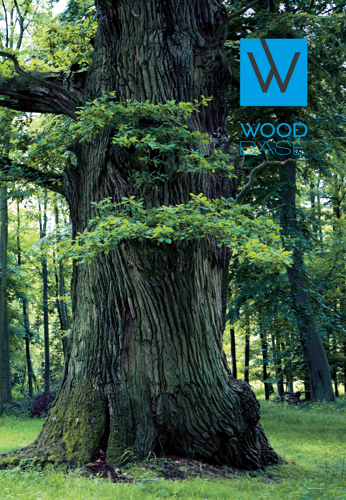 Vorschau Woodbase Preisliste 04/2022 Seite 59