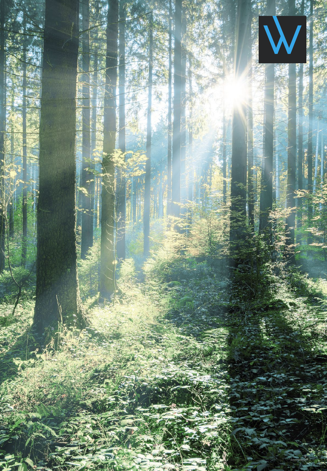 Vorschau WOODBASE PREISLISTE 2020/2021 Seite 9
