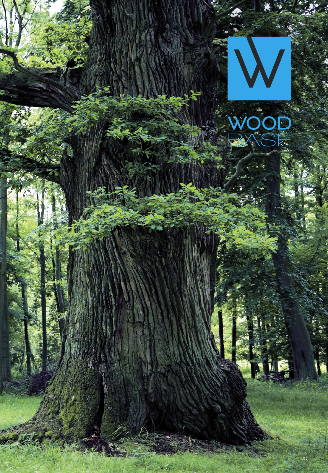 Vorschau WOODBASE PREISLISTE 2020/2021 Seite 101