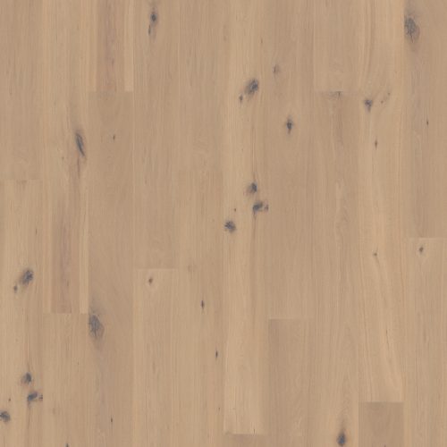 1003 EICHE STOCKHOLM