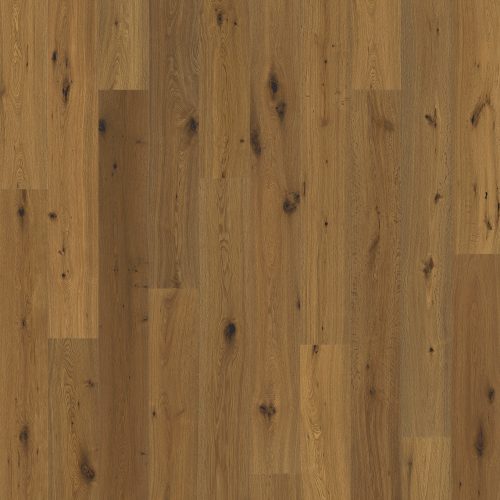 1005 EICHE TRONDHEIM