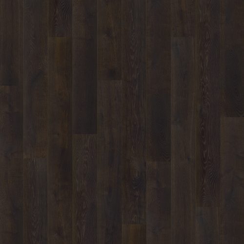 1087 EICHE ROTTERDAM