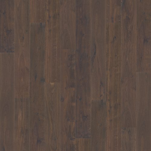 1088 EICHE AMSTERDAM