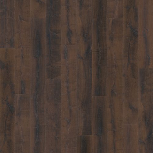 1094 EICHE KIRCHBERG