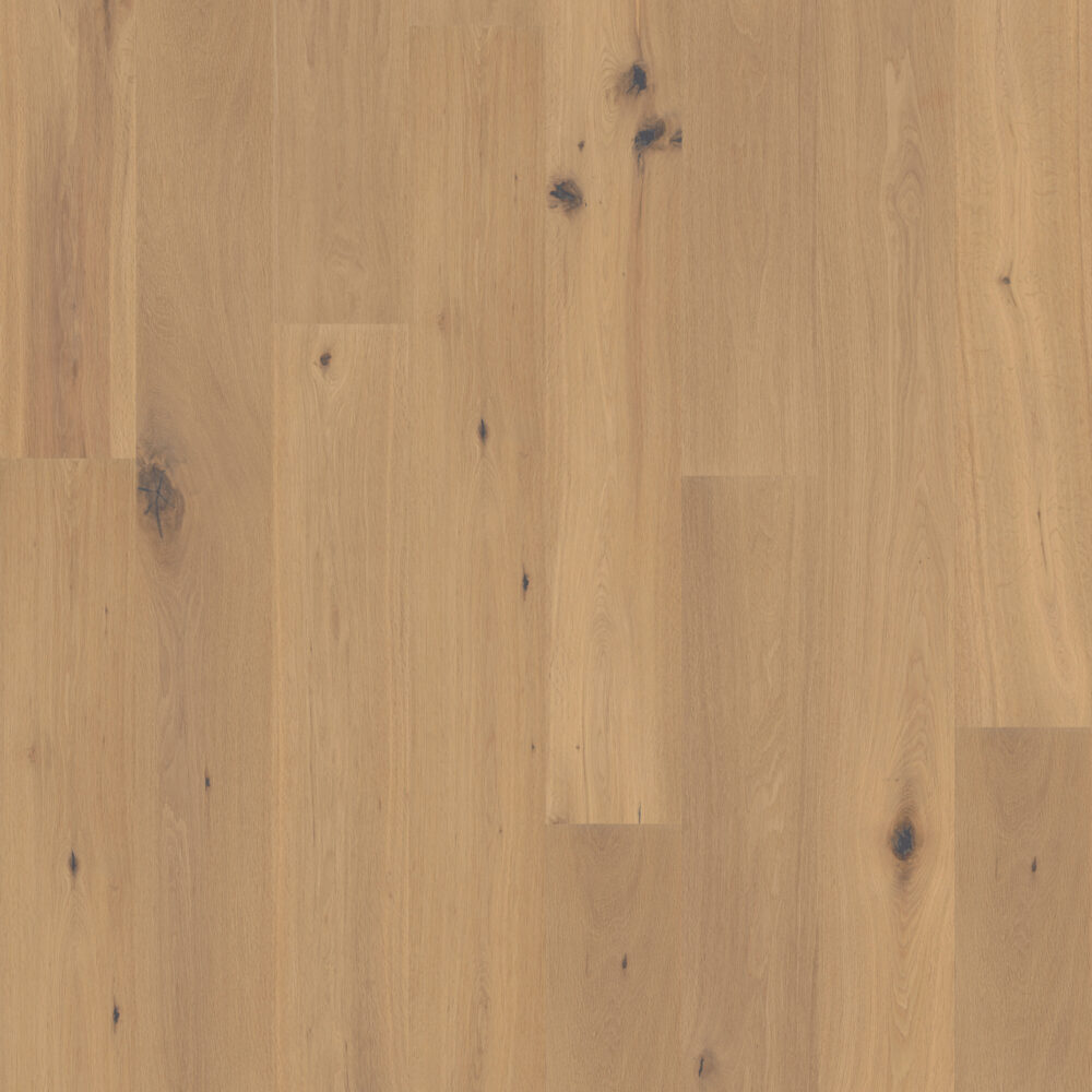 Schöne bunte Welt - Eiche Landhausdielen | woodbase.at