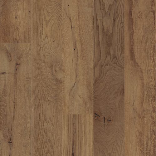 2100 EICHE RETTENSTEIN