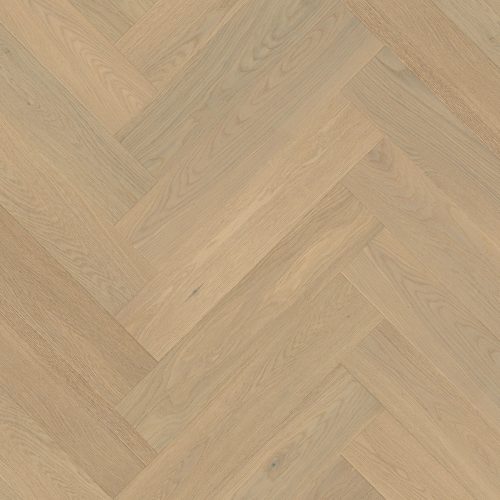 2001 EICHE ST. PAUL'S NG